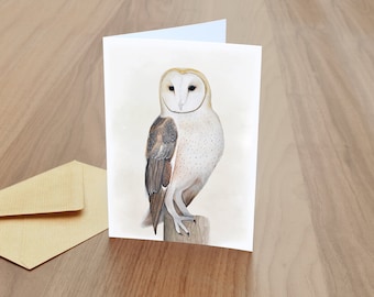 Barn Owl Blank Greetings Card  -  British Wildlife