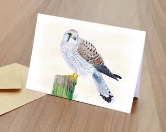 Kestrel Blank Greetings Card  -  British Wildlife