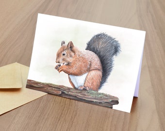 Red Squirrel Greetings Card  -  British Wildlife