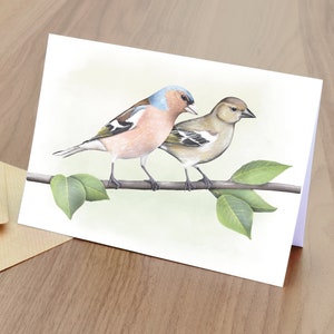 Biglietto d'auguri vuoto con fringuelli - fauna selvatica britannica