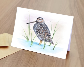 Snipe Blank Greetings Card  -  British Wildlife