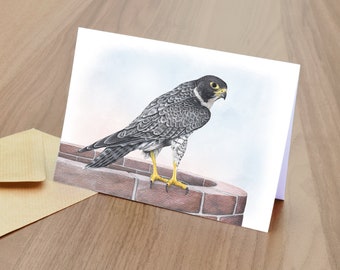 Peregrin Falcon Blank Greetings Card  -  British Wildlife