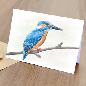 Cartão de cumprimentos em branco do Kingfisher - vida selvagem britânica