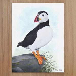 Puffin Wildlife Art Print, A4 or 8x6 image 1