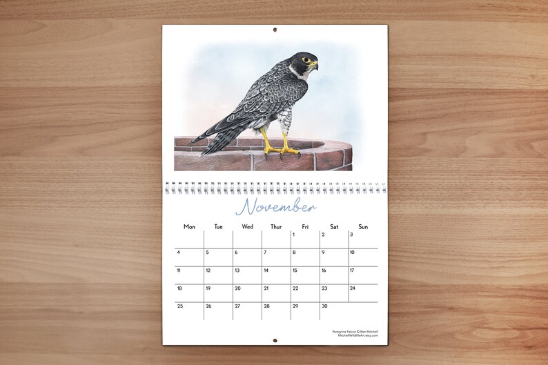 British Wildlife Wall Calendar 2024 image 6