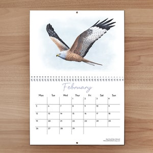 British Wildlife Wall Calendar 2024 image 3