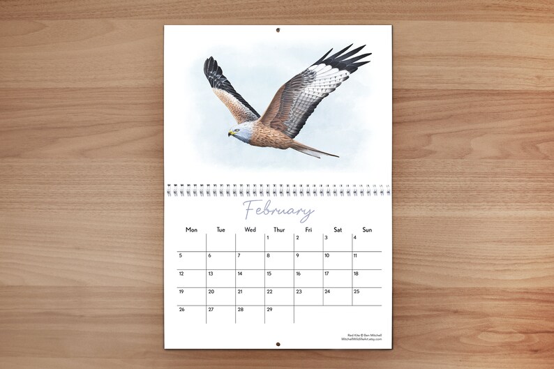 British Wildlife Wall Calendar 2024 image 3