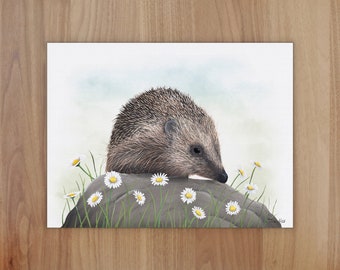 Hedgehog Wildlife Art Print, A4 or 8x6