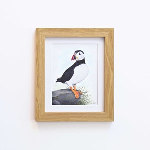 Puffin Wildlife Art Print, A4 or 8x6 image 5