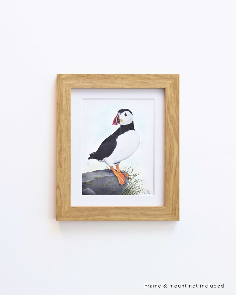 Puffin Wildlife Art Print, A4 or 8x6 image 5