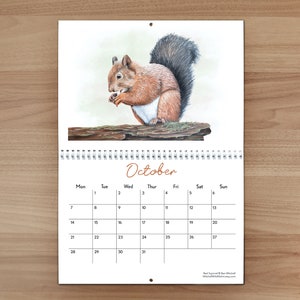 British Wildlife Wall Calendar 2024 image 1