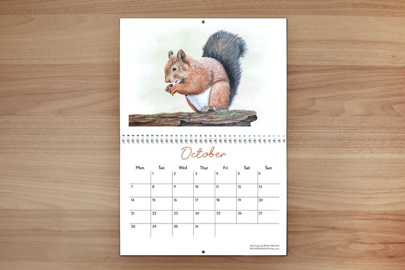 British Wildlife Wall Calendar 2024 image 1