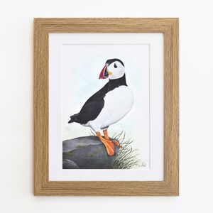 Puffin Wildlife Art Print, A4 or 8x6 image 4