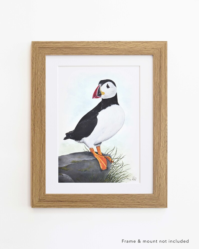 Puffin Wildlife Art Print, A4 or 8x6 image 4