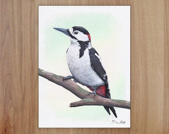 Woodpecker Wildlife Art Print, A4 or 8x6