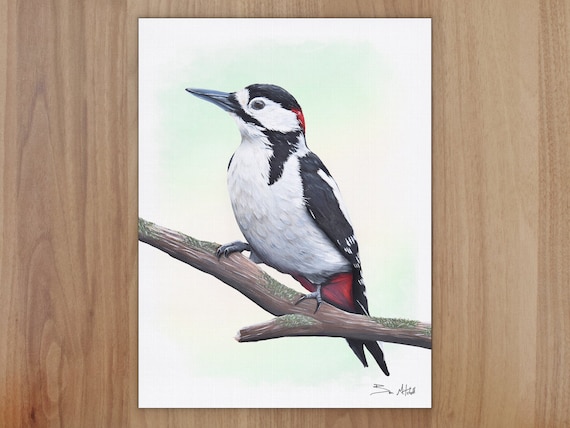 Limited Edition A5 Bird Wildlife Print Wood Pecker Original Watercolour