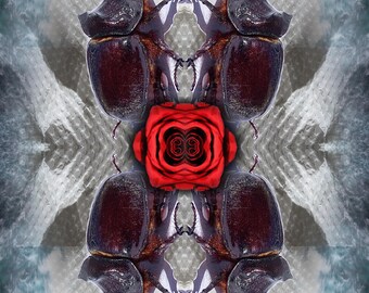 Käfer & Blumen Kunstdruck: Zeitgenössisches Digital Design