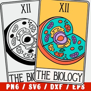 Biología SVG - Carta del Tarot Celular - ADN Genético - Profesor de Ciencias Biólogo
