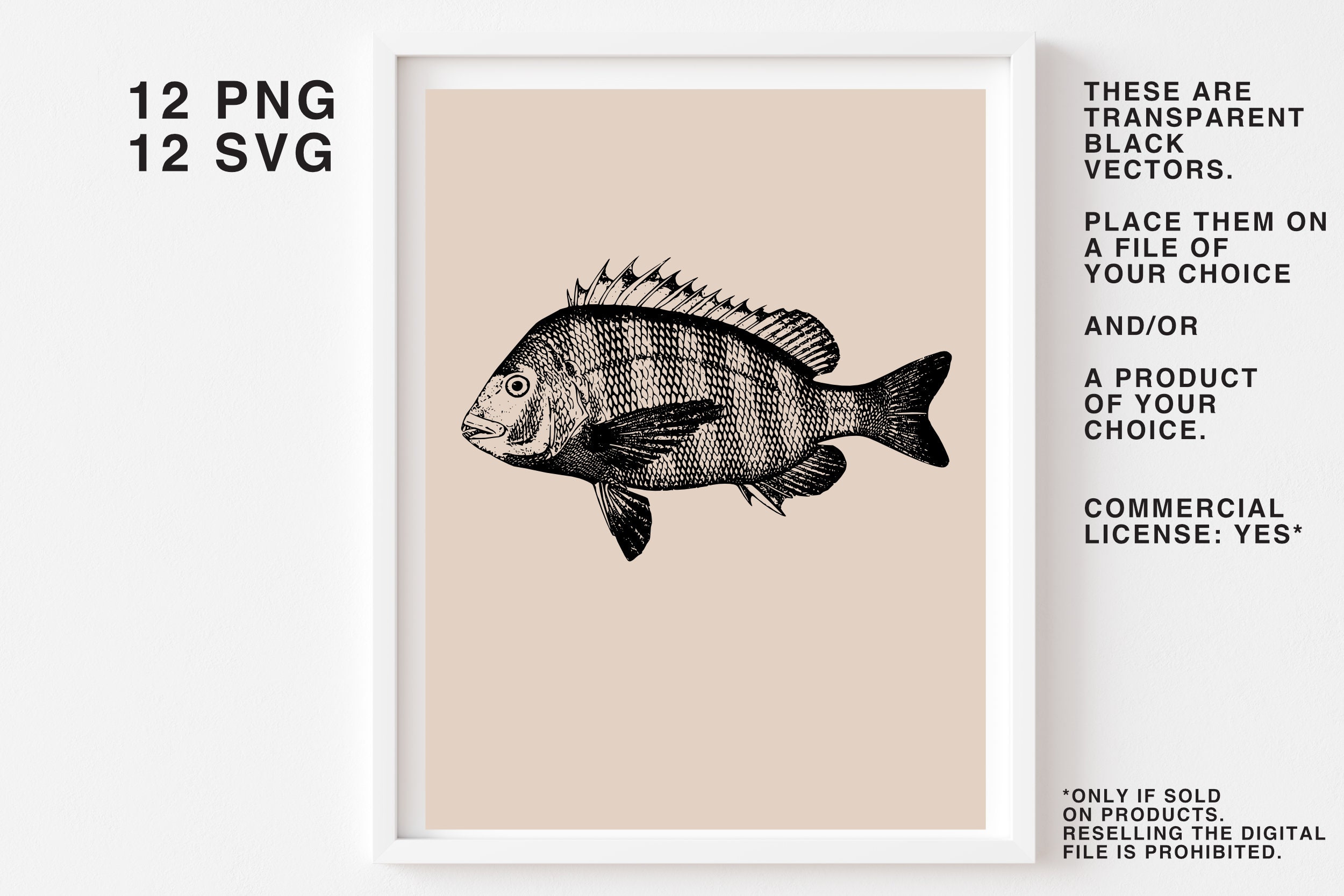 Fish SVG Bundle Fishing Fisherman Salt Water Fishes Png - Etsy