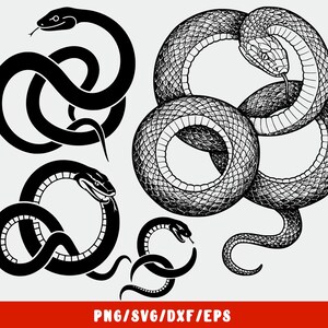 Snake SVG - Dragão Ouroboros - Alchemy Mystical (decalque silhueta camafeu cricut ferro em transferência caneca camisa tecido design)