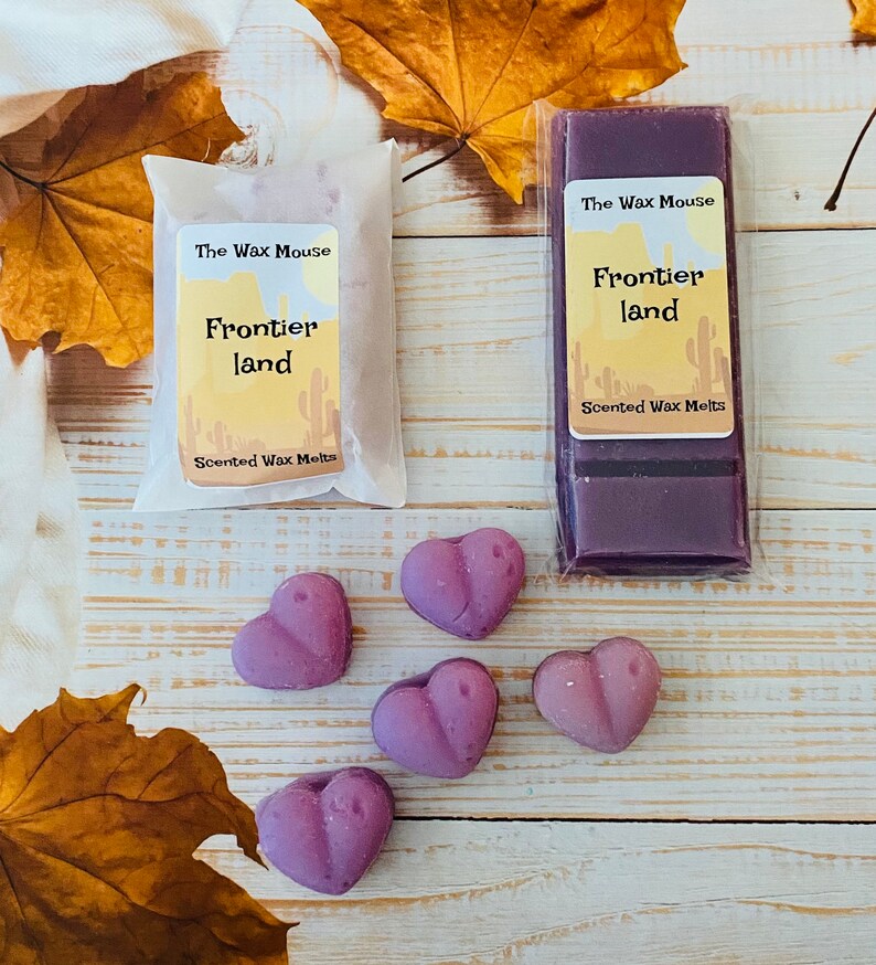 Magical Scents Wax Melts Theme Park Scents Wax Melts / Etsy UK