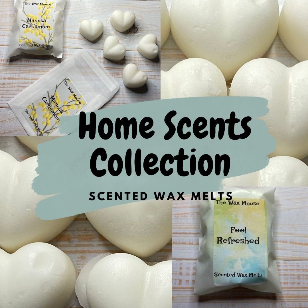 Magical Scents Wax Melts, Theme Park Scents, Gift, Wax Warmer Melts, Wax  Melt Tart, Home Fragrance, Magical Scents Collection 