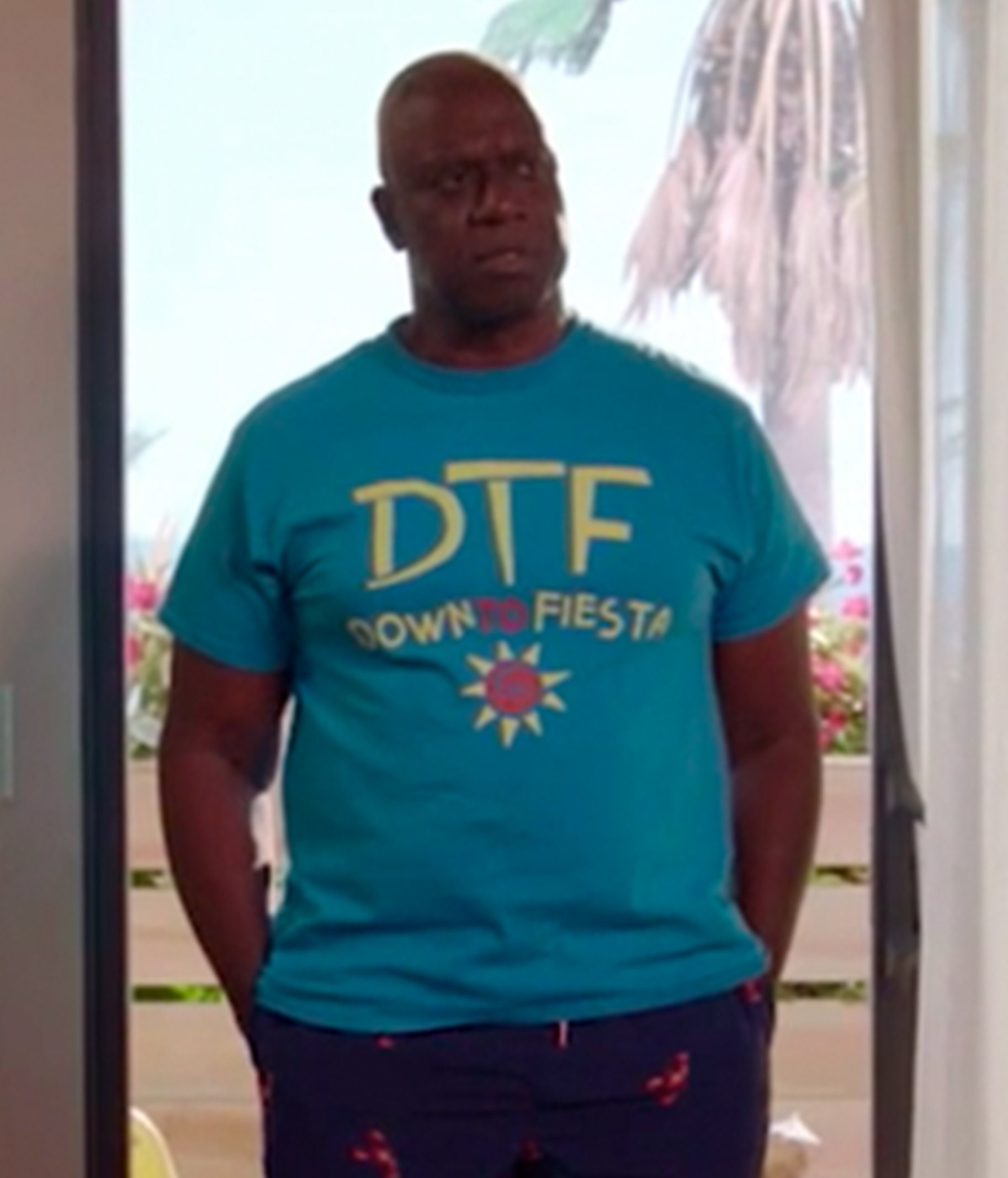 DTF T-shirt Down to Fiesta Tshirt Brooklyn 99 T Shirt - Etsy Hong Kong