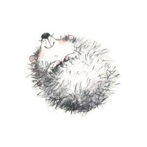 Dreaming Hedgehog. Digital print, clipart download. Original gift idea.  Cute animal. Time to relax.  Handmade illustration.
