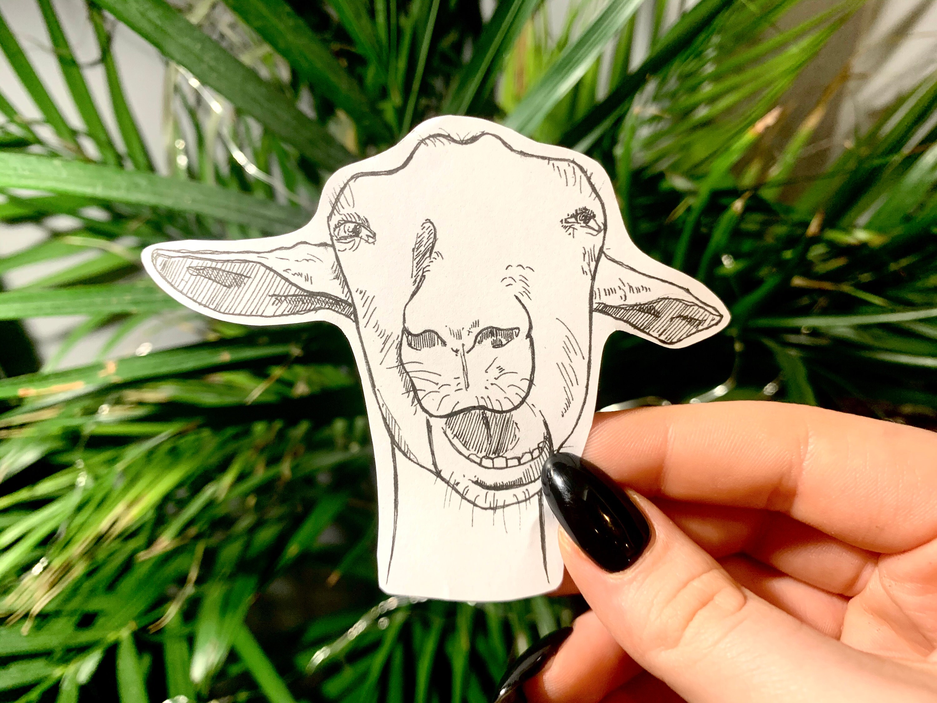Cute goat sticker goat planner sticker goat gift water Etsy