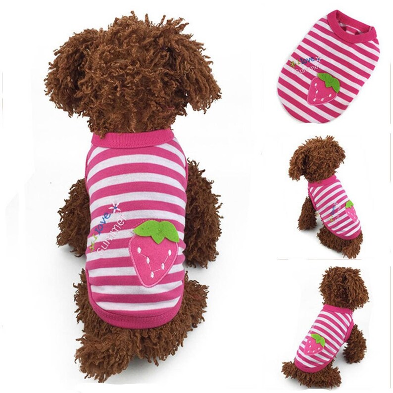 9style XXXS/XXS/XS Fruit Mini Puppy Summer Sweater Baby Pet Clothes Teacup Small Dogs Clothing