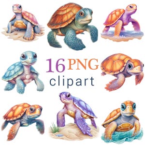16 PNG Cute Baby Sea Turtle Clipart, Ocean Animal Digital Download, Sea Turtle files, Commercial use, Printables, Transparent Background