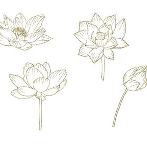 Pu&ograve; includere: Un set di quattro disegni a linea di fiori di loto in varie fasi di fioritura. I fiori sono disegnati in uno stile delicato e minimalista con un contorno dorato.
