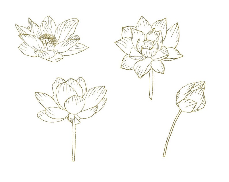 Pu&ograve; includere: Un set di quattro disegni a linea di fiori di loto in varie fasi di fioritura. I fiori sono disegnati in uno stile delicato e minimalista con un contorno dorato.