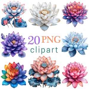 20 PNG, Lotus Flower Clipart, Instant download, Colorful Floral Clipart, Lotus Flowers, Commercial Use, Transparent Background Graphics