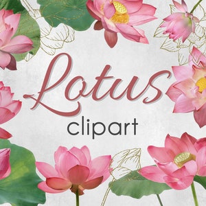 PNG, illustraties roze lotus, ontwerpelementen, instant download, bloemen clipart, roze bloemen, individuele bloemenelementen, commercieel gebruik