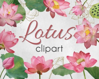 PNG, Clipart de Flor de Lótus Rosa, Elementos de Design, Download Instantâneo, Clipart Floral, Flores Rosa, Elementos Florais Individuais, Uso Comercial