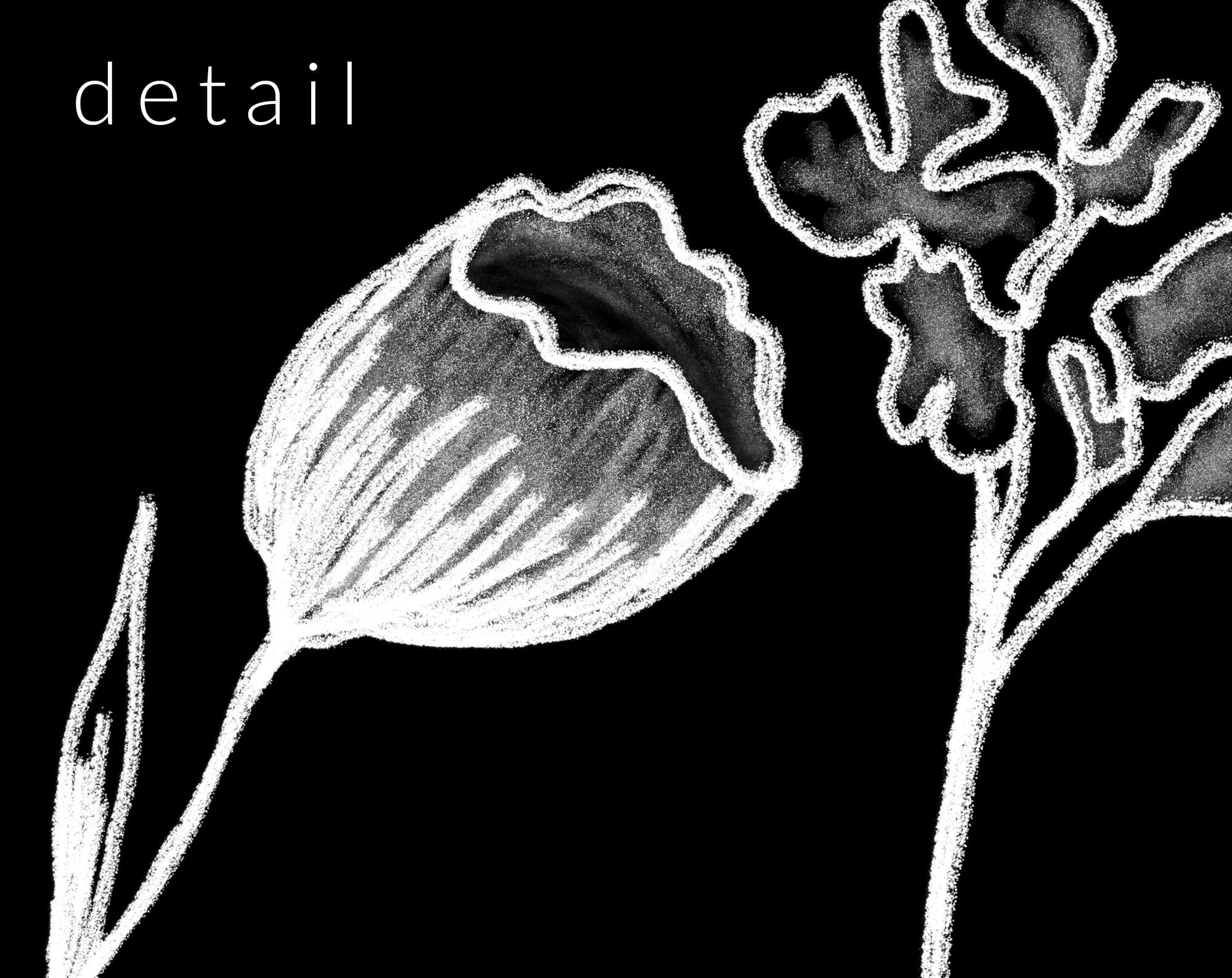 22 PNG White Chalk Drawn Flowers Clip Art Chalk Design Etsy