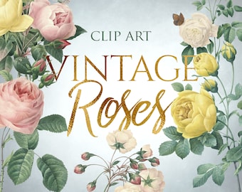14 PNG Vintage Roses, Flower Clip Art, Botanical Illustrations, Design elements, Instant download
