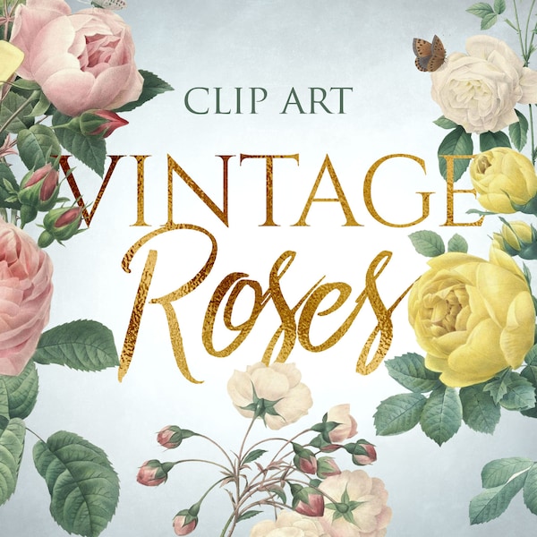 14 PNG Vintage Roses, Flower Clip Art, Botanical Illustrations, Design elements, Instant download