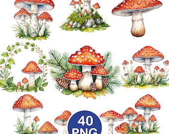 Mushroom Clipart, Watercolor Amanita PNG, Toadstool Forest Graphics, Digital Download