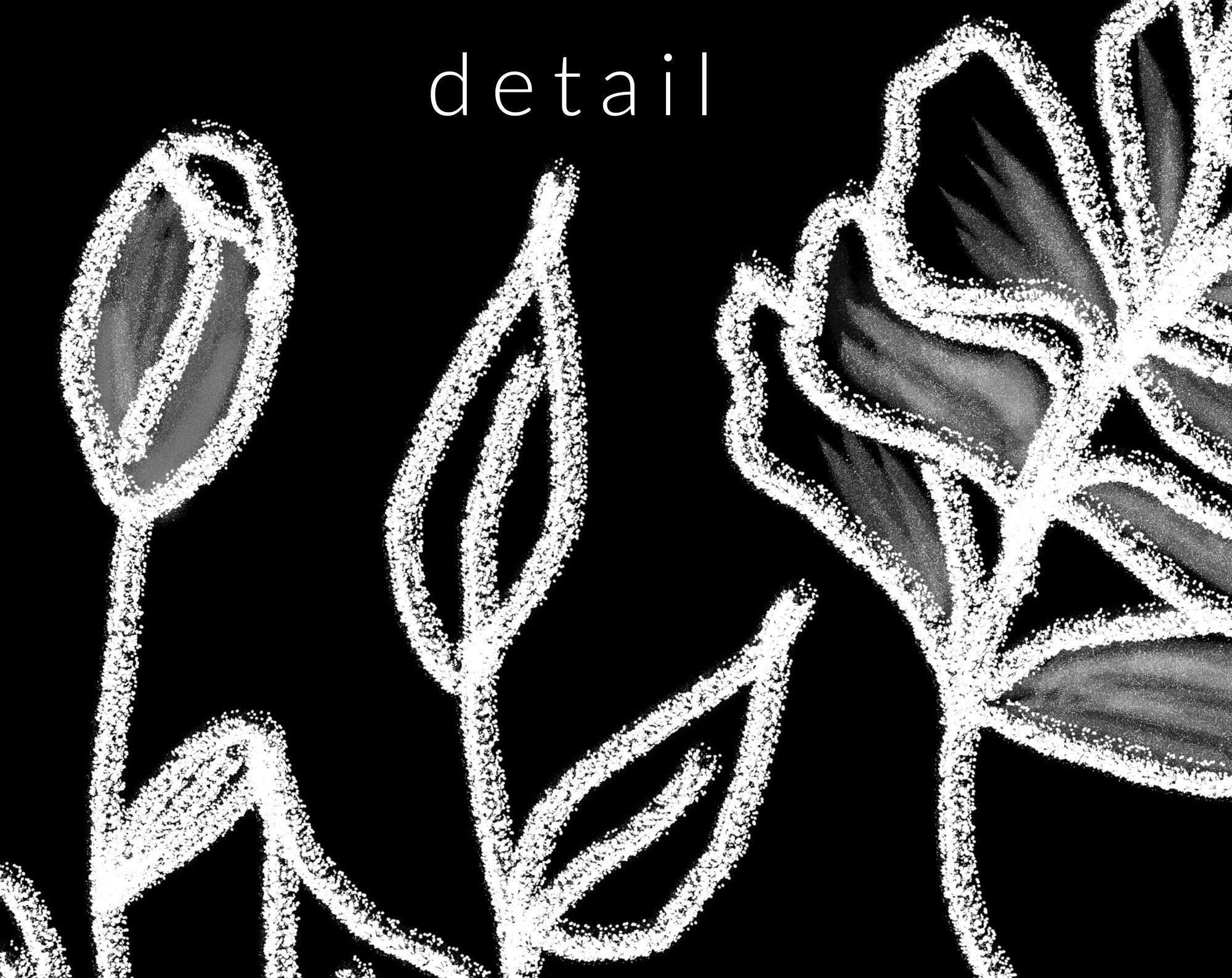 22 PNG White Chalk Drawn Flowers Clip Art Chalk Design Etsy