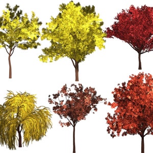 May include: Six different trees with various foliage colors, including yellow, red, and orange. The trees are isolated against a white background.