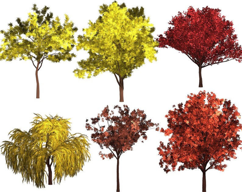 May include: Six different trees with various foliage colors, including yellow, red, and orange. The trees are isolated against a white background.