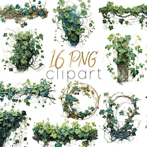 16 PNG Ivy Clip Art, Digital Climbing Ivy Vines Clipart, commercial use, Green Ivy Vines design elements, clip art, Instant download