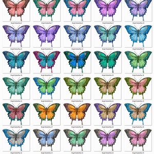 May include: A collection of 36 digital images featuring colorful butterfly illustrations. Each butterfly has a unique color scheme and intricate details. The butterflies are arranged in a grid pattern.