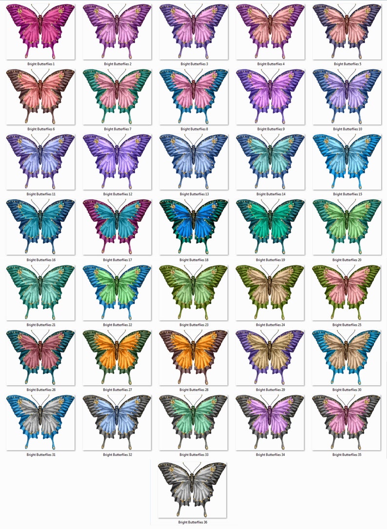 May include: A collection of 36 digital images featuring colorful butterfly illustrations. Each butterfly has a unique color scheme and intricate details. The butterflies are arranged in a grid pattern.