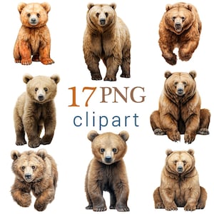 May include: A collection of seven brown bear illustrations in various poses. The bears range in color from light tan to dark brown. The text "17 PNG clipart" is displayed in orange and blue font.