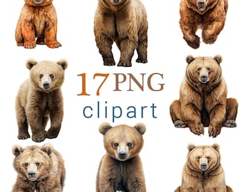 Clipart de oso pardo realista: Imágenes PNG para uso comercial