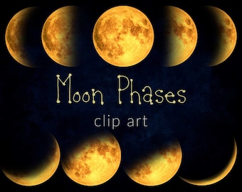 sparrow　AR×yellow moon 15 PNG Digital Yellow Moon, Instant Download, Design Elements