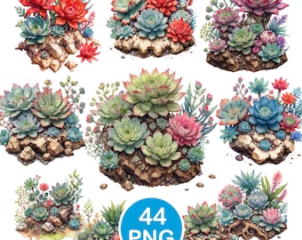 Succulent Clipart, Watercolor Rock Garden PNG, Desert Plant Graphics, Digital Download